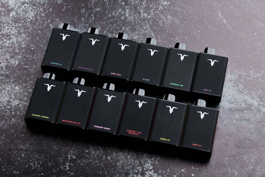 IGNITE V60 penna vaporizzata 668PR29 ghiaccio al mirtillo IGNITE pods review